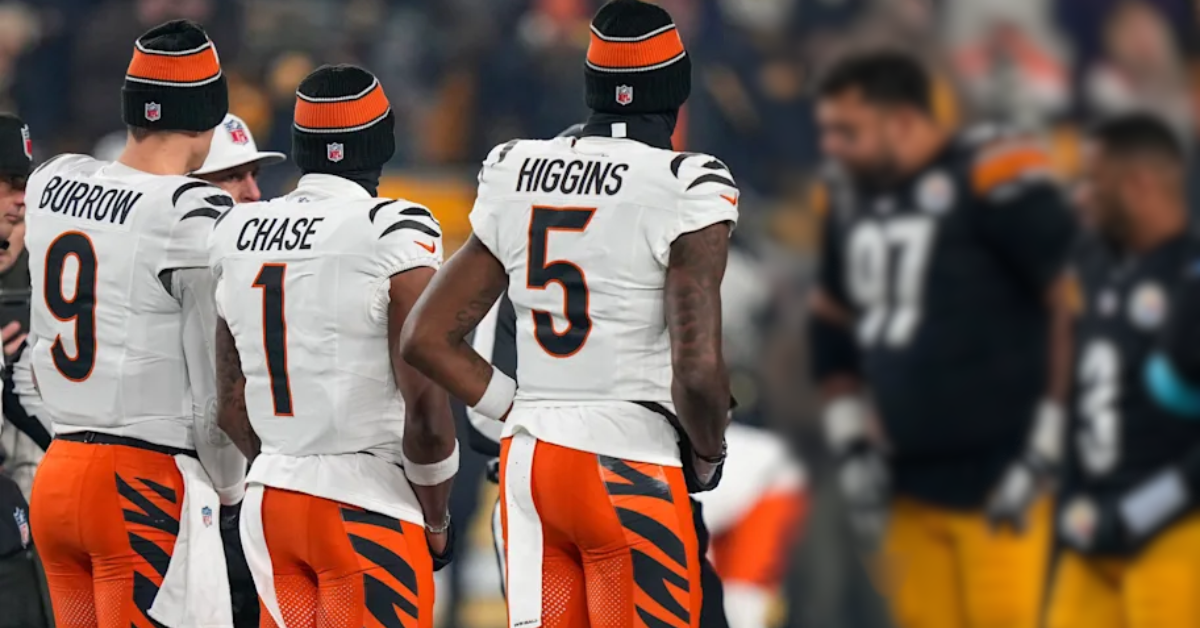 Fantasy Multiverse: Cincinnati Bengals